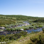 Venabufjell