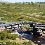 Sommerbrücke