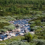 Venbufjell