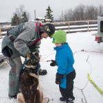 Dogsledding Venabu