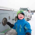 Dogsledding Venabu