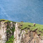 Suðuroy Faroe Islands