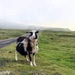 Suðuroy Faroe Islands