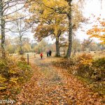 Småland bei Regen