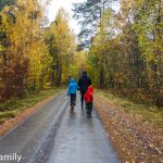 Småland bei Regen