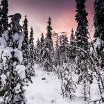 Schneeschuhwandern in Vuokatti