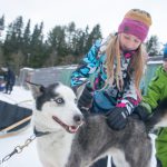 Huskytour in Vuokatti