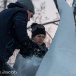 Silverskate Festival in Edmonton