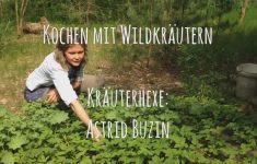 Wildkräuterkochkurs