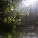 Paddeln im Spreewald