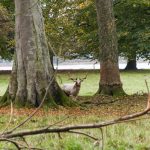 Wandern in Dänemark mit Kindern