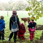 Wandern in Dänemark mit Kindern