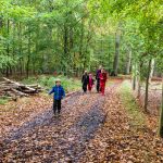 Wandern in Dänemark mit Kindern