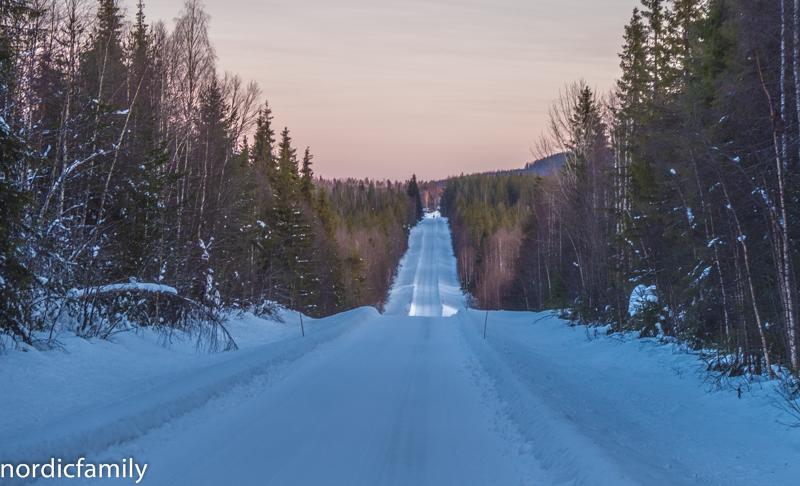 Schneise durch den Wald Wildniscamp Naarajärvi