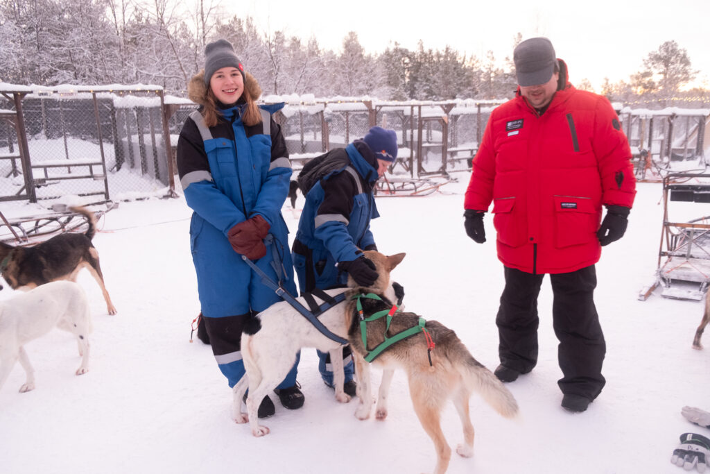 hundeschlitten tour kiruna