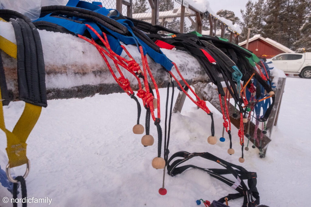 Hundeschlitten Tour in Kiruna Hudnegeschirre