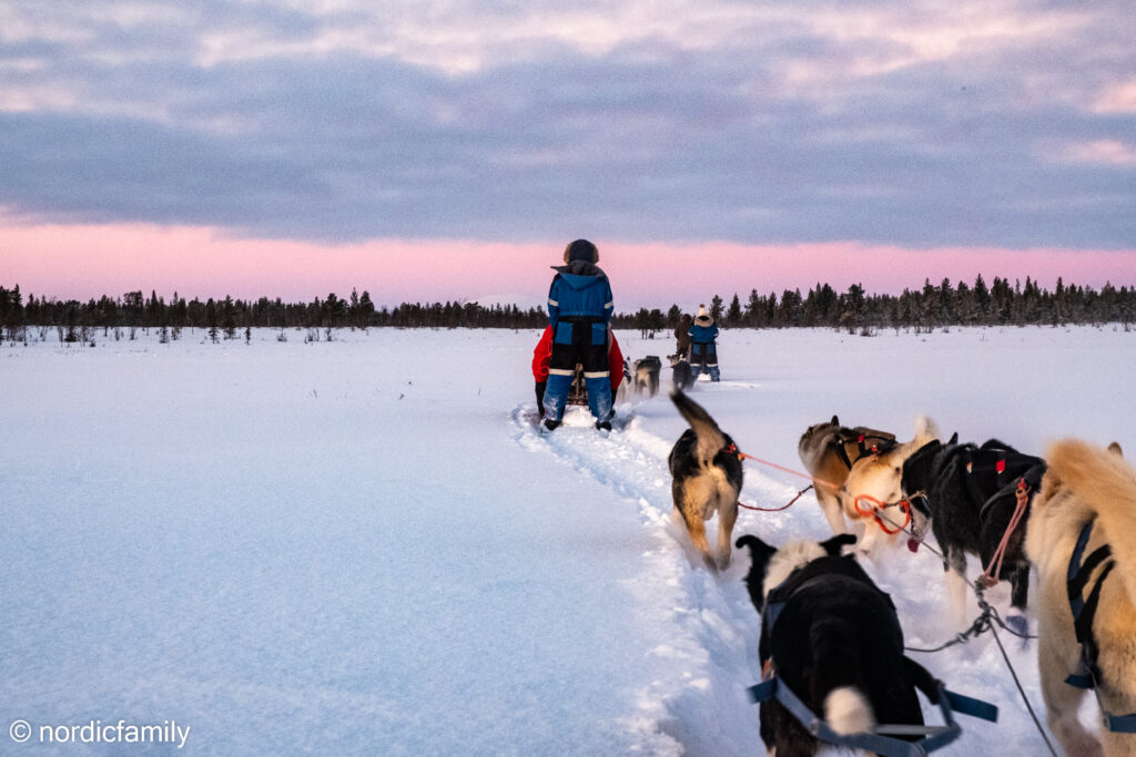 Hundeschlitten Tour in Kiruna in die Weite
