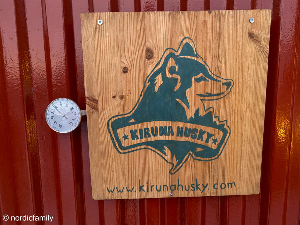 Hundeschlitten Tour in Kiruna