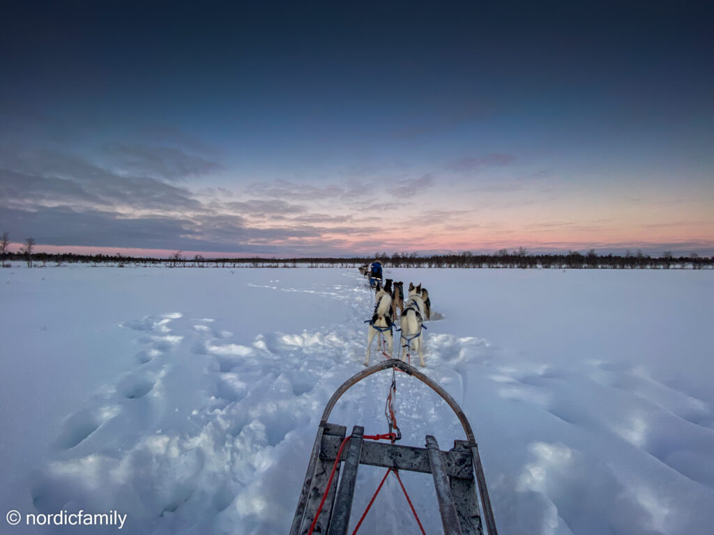 Hundeschlitten Tour in Kiruna minus 20