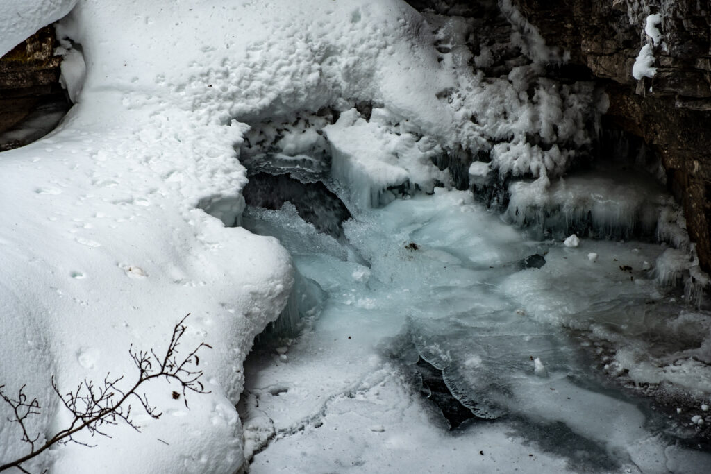 winter