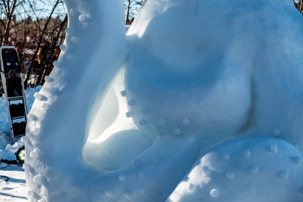 snowsculpture
