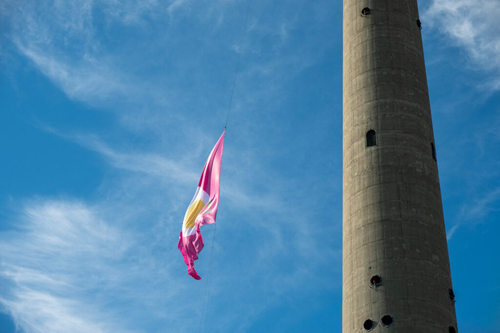 Pink Soup Festival Vilnius Fahne