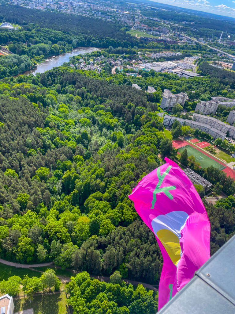 Blick über Vilnius