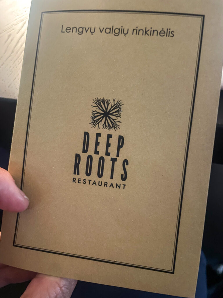 Pink Soup Festival Vilnius Deep Roots