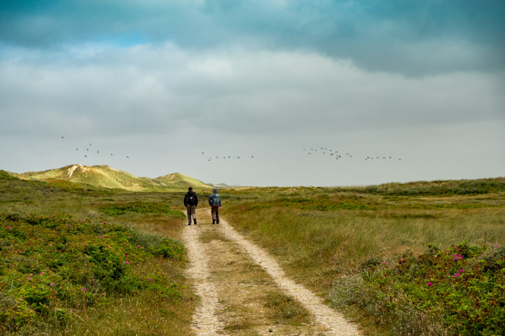 Wandern
